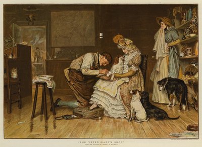 The Veterinary